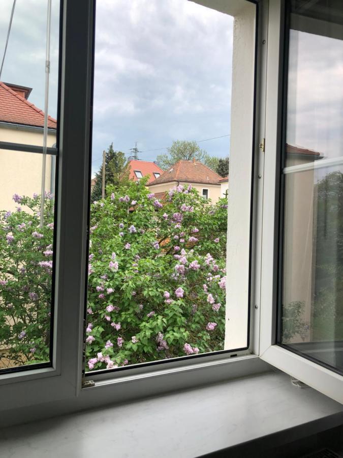 Appartement Wohlfuehloase Dresden Nickern Extérieur photo